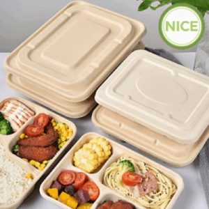 Khay bã mía nhiều ngăn