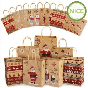 Túi giấy kraft có quai