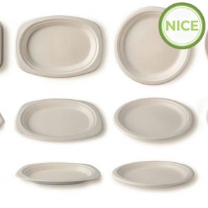 Alternative view of Dĩa bã mía