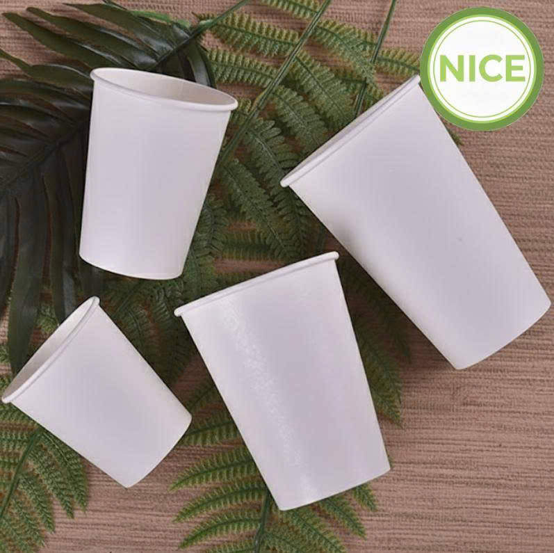 Ly giấy PLA tự phân hủy - Ảnh 2