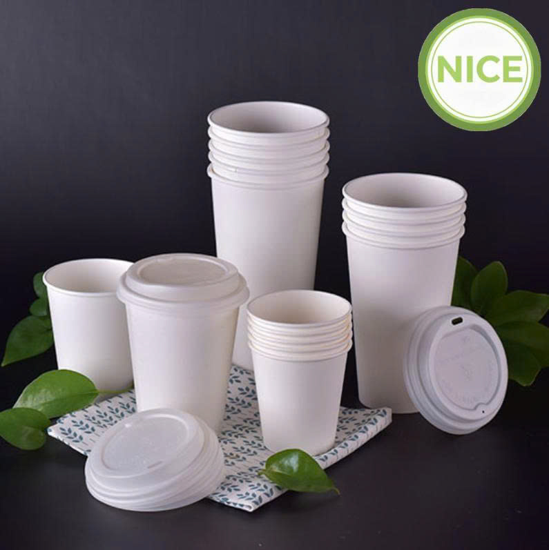 Ly giấy PLA tự phân hủy