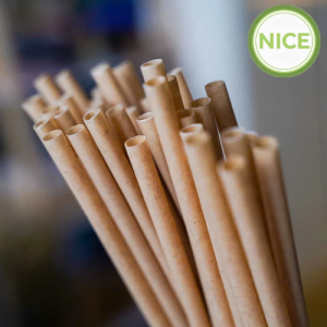 Alternative view of Dụng cụ phối kèm từ bã mía