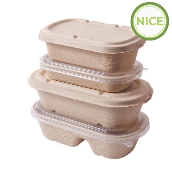 Hộp bã mía gọn nhẹ tiện lợi 