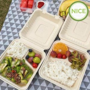 Hộp bã mía nắp gập