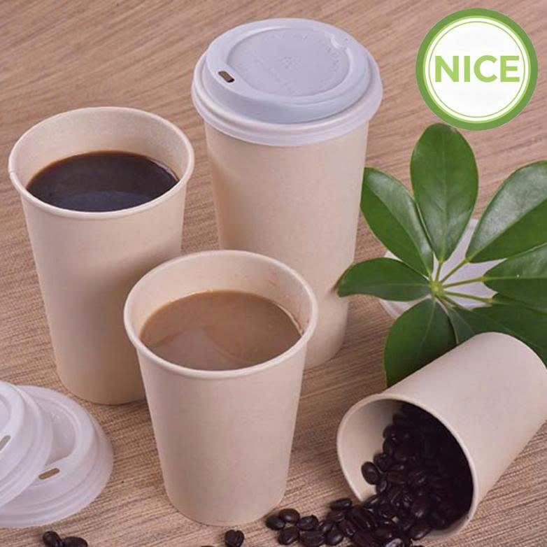 Ly giấy tre - Ảnh 3