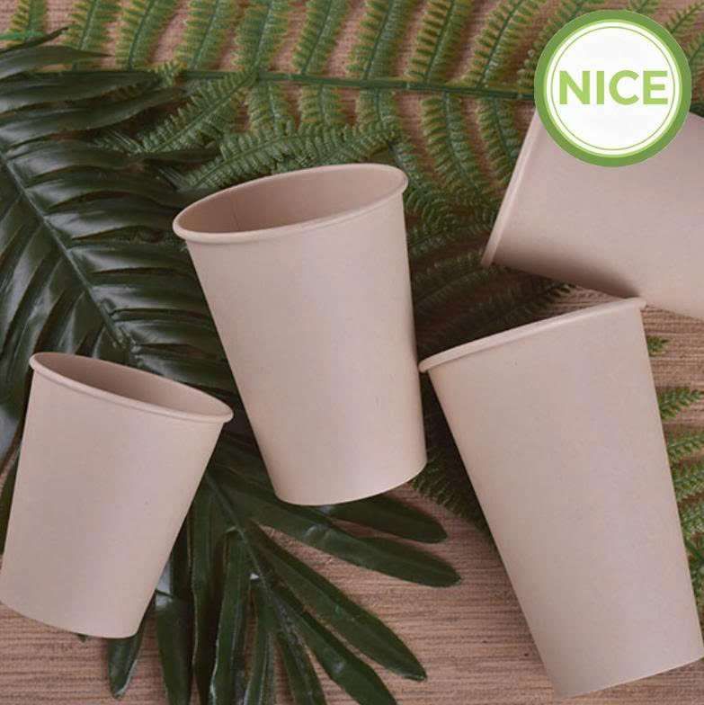 Ly giấy tre - Ảnh 4