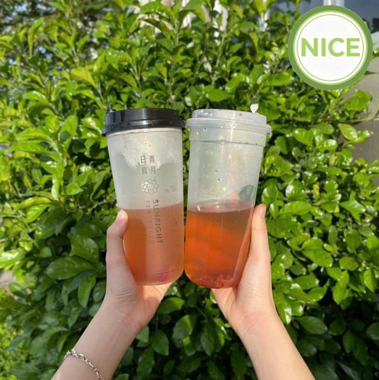 Ly nhựa PP đáy bằng-đáy bầu - Ảnh 5