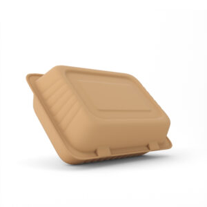 Hộp bã mía nắp gập